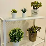Casa Gemini Διαμέρισμα